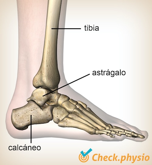 pinzamiento posterior del tobillo