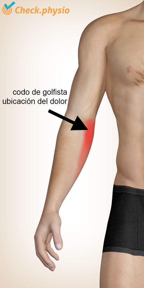 brazo codo de golfista ubicación